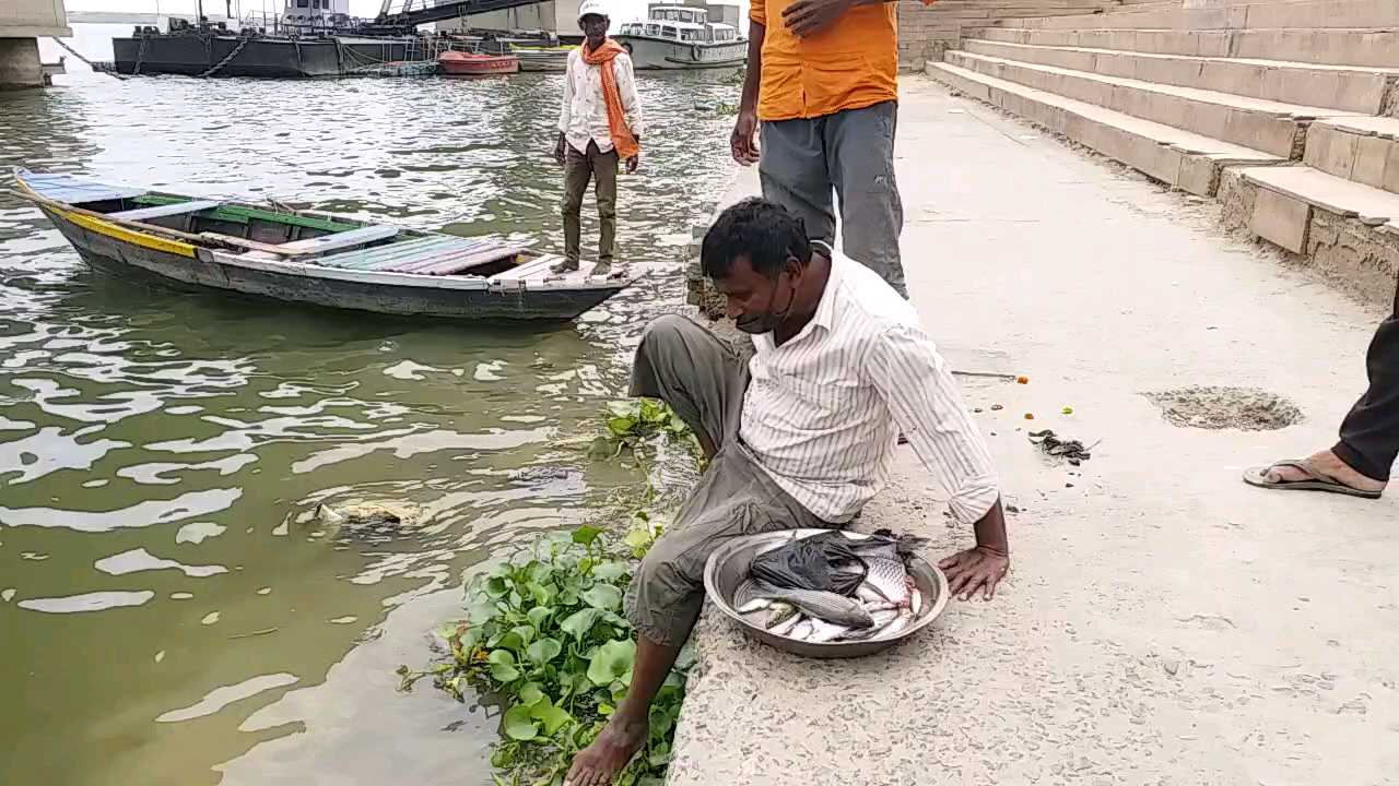 गंगा से मछली निकालते मछुआरे