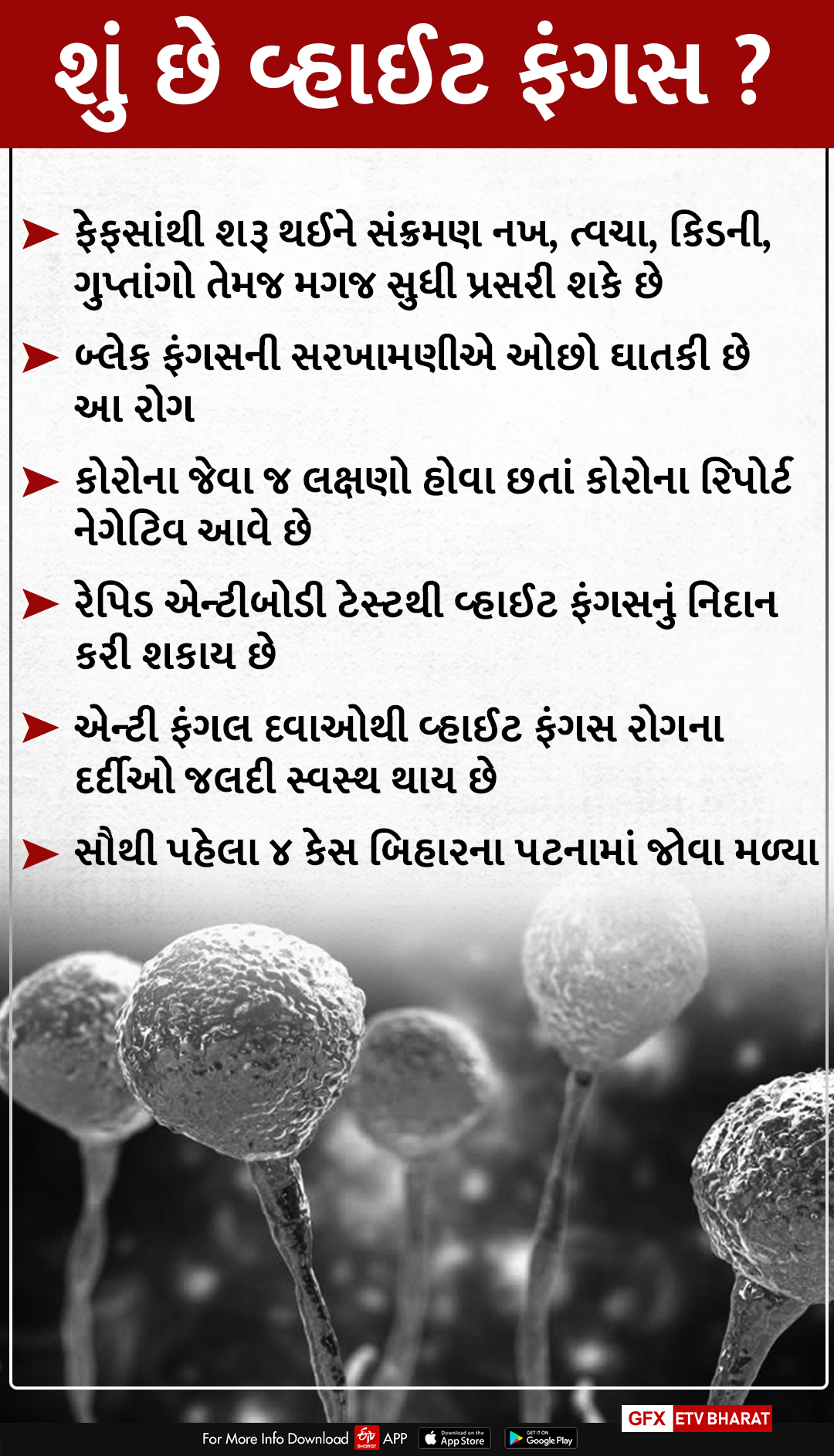 શું છે વ્હાઈટ ફંગસ?