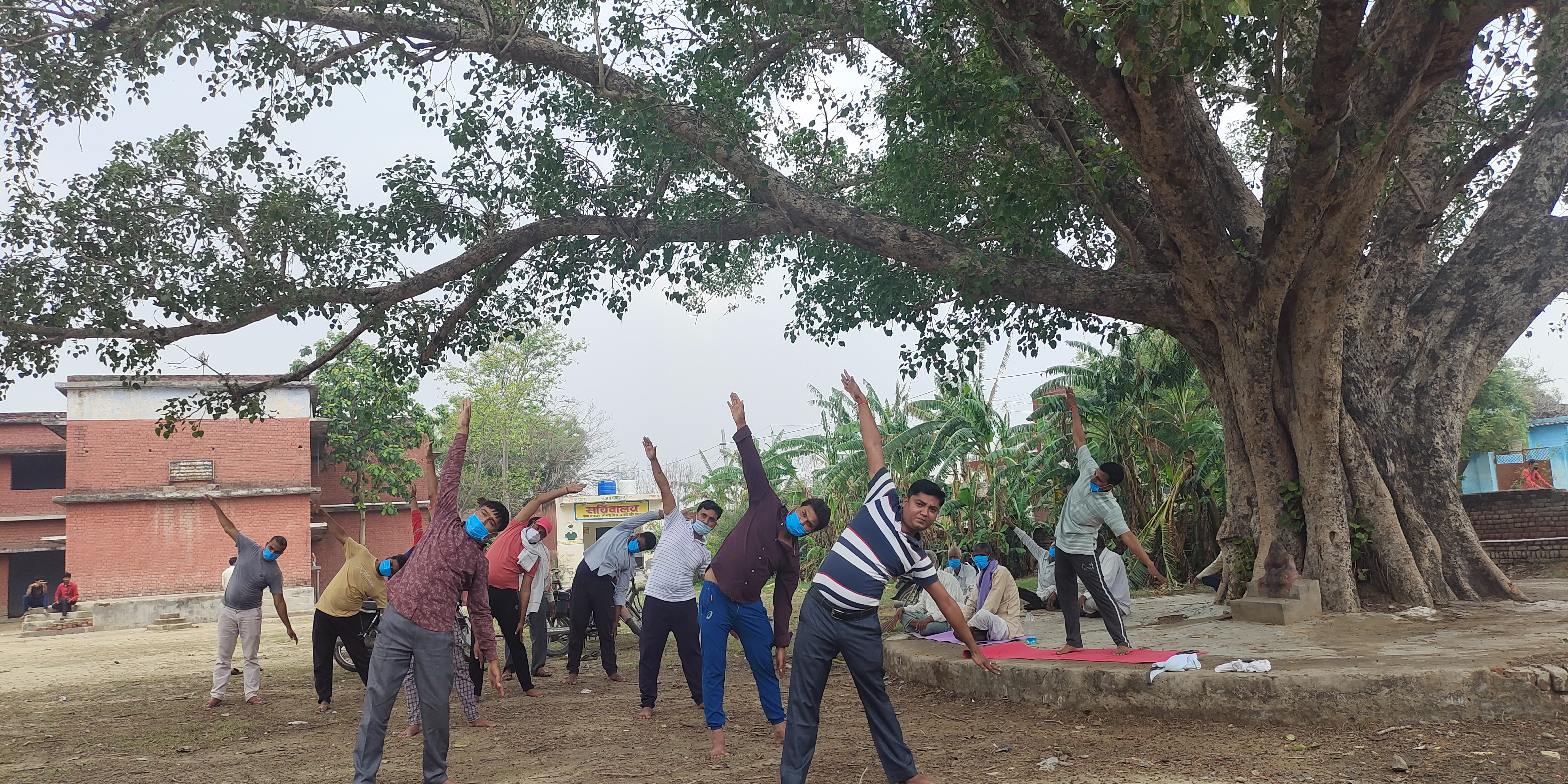 covid-19 effect villagers believes in peepal tree