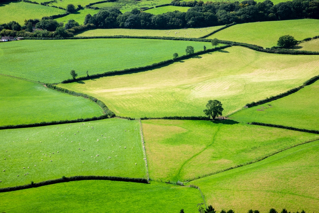 International Day for Biological Diversity, climate change