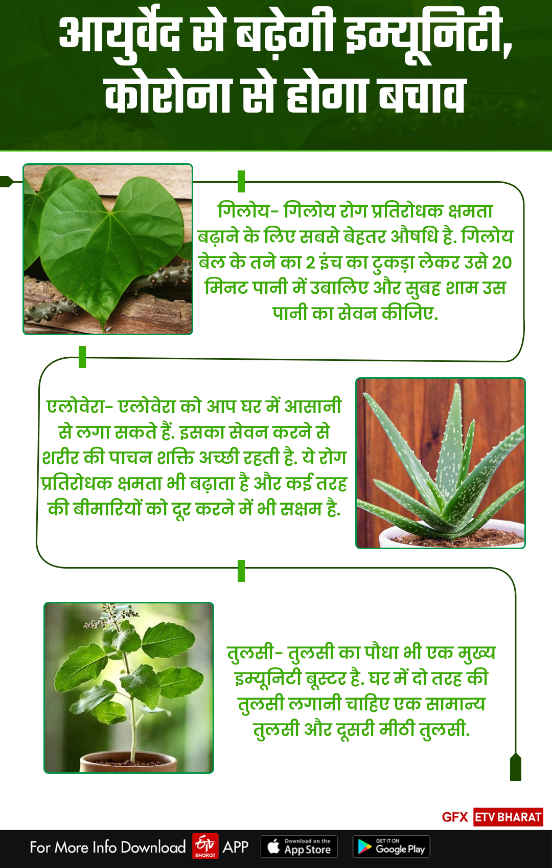 five plants which will boost immunity and help to prevent coronavirus