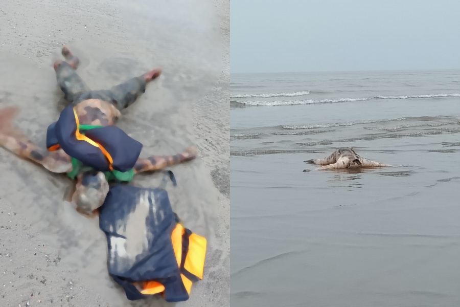 Valsad Beach, Deadbodies