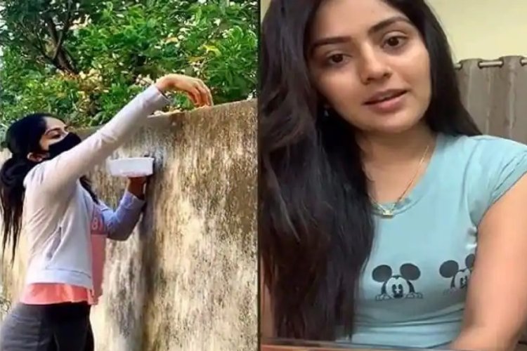 actress Megha shetty gave food for street dogs