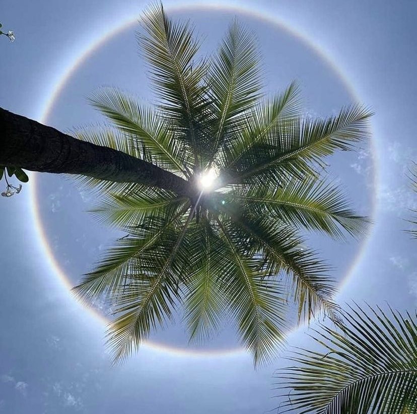 Sun Halo, rare atmospheric phenomenon