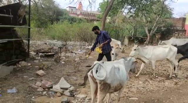 vishwa Hindu Parishad Bajrang Dal, राजस्थान न्यूज