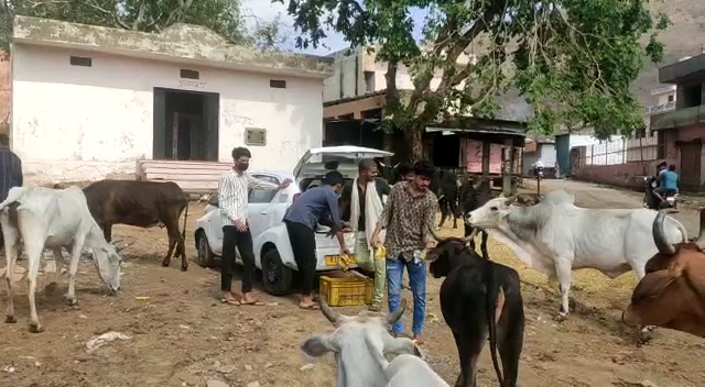 vishwa Hindu Parishad Bajrang Dal, राजस्थान न्यूज