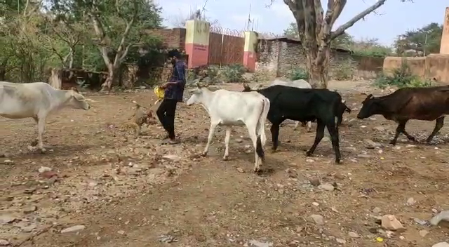 vishwa Hindu Parishad Bajrang Dal, राजस्थान न्यूज