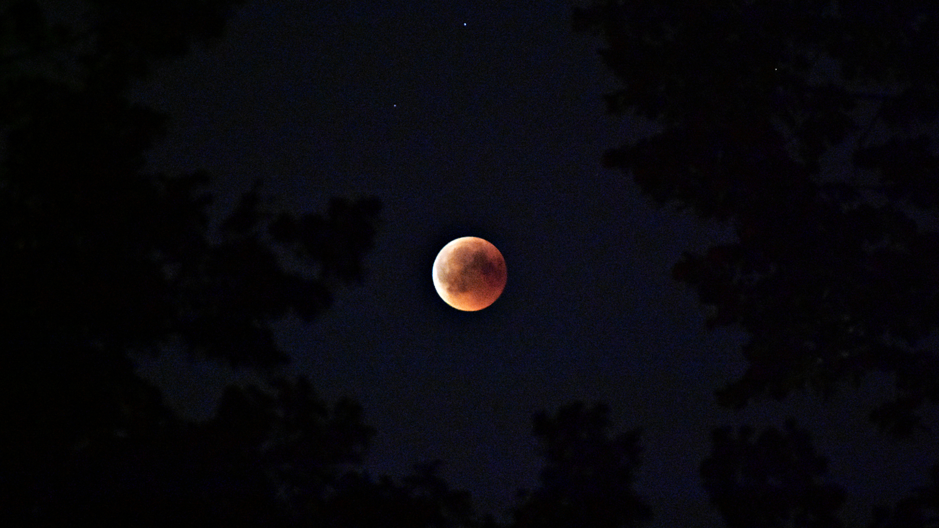 lunar eclipse