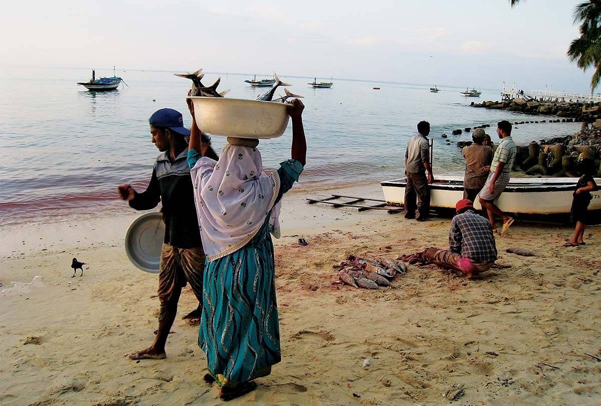 மாட்டிறைச்சி உண்ணத் தடை, மதுவிலக்கு தளர்வு