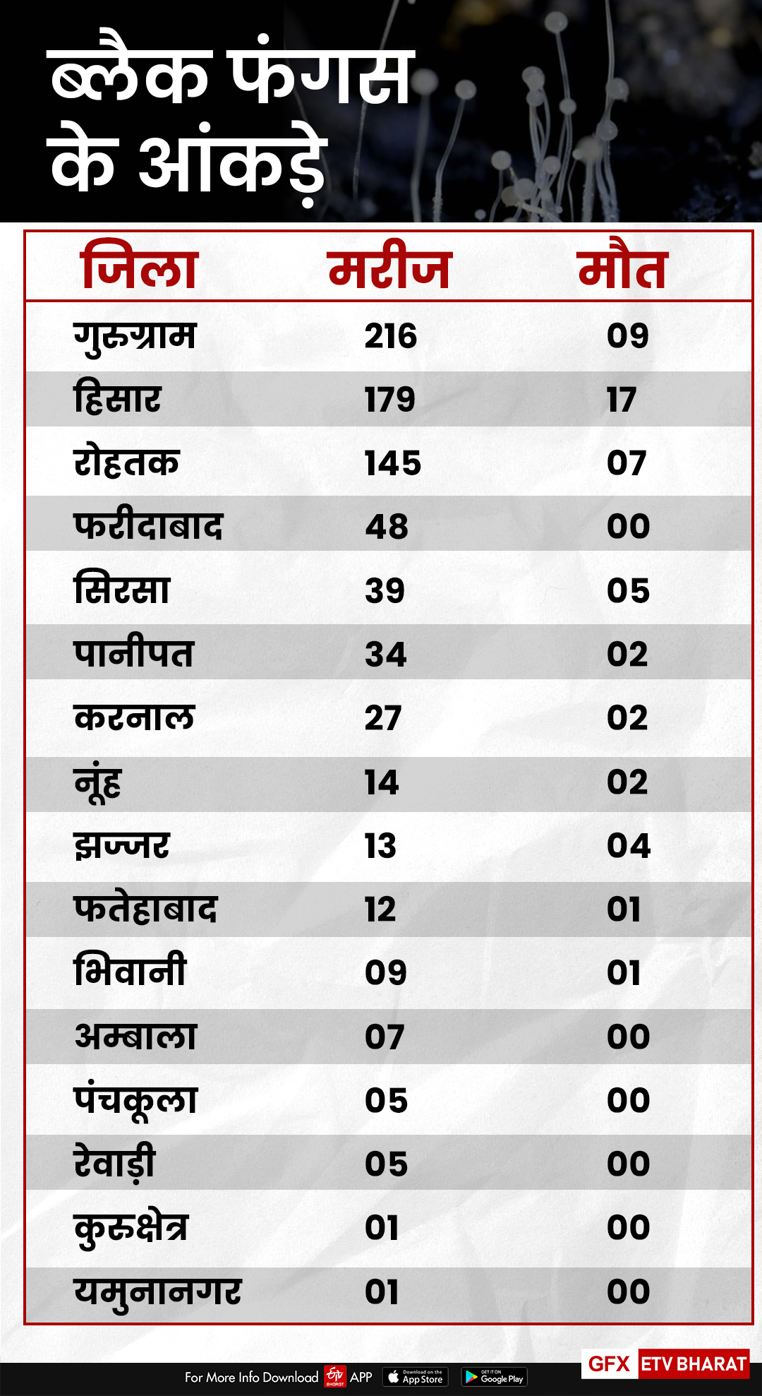 haryana black fungus update