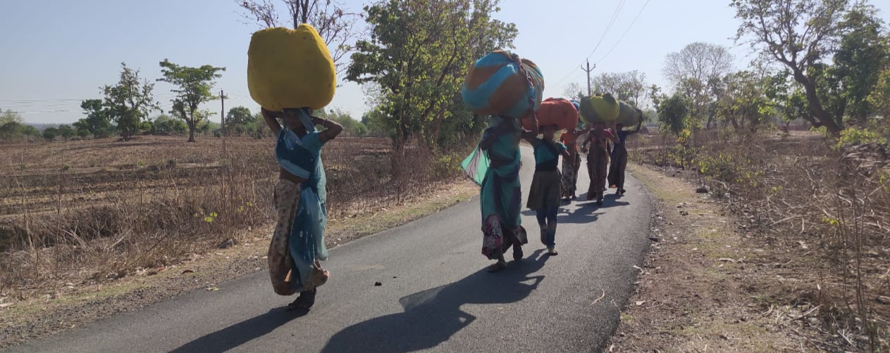 प्रतापगढ़ में बढ़ी तेंदूपत्ता की मांग, Demand for tendu patta increased in Pratapgarh