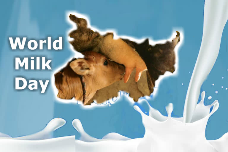 world milk day