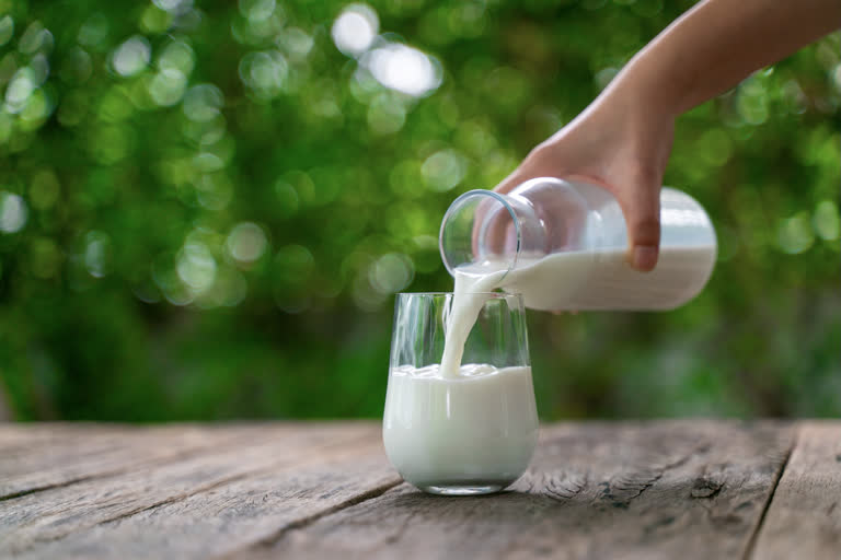 world milk day