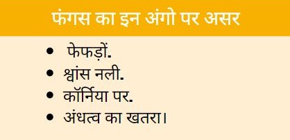 black fungus news  aspergillus fungus news  corona  एसएन मेडिकल कॉलेज आगरा  Aspergillus fungus patient in Agra  आगरा में एस्परजिलस फंगस का मरीज  Confirmation of Aspergillus fungus in a patient of agra  ईएनटी विशेषज्ञ डॉ. अखिल प्रताप सिंह  ENT Specialist Dr Akhil Pratap Singh  आगरा समाचार  ब्लैक फंगस  एस्परजिलस फंगस  Aspergillus fungus patient admitted in SNMC Agra  एस्परजिलस फंगस का मरीज एसएनएमसी आगरा में भर्ती