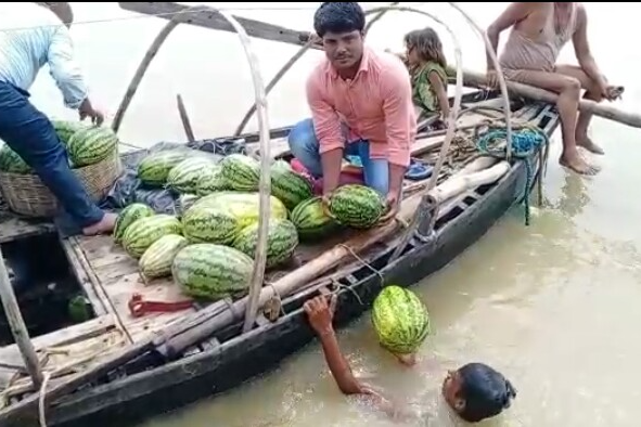 गंगा में अचानक तैरने लगे तरबूज