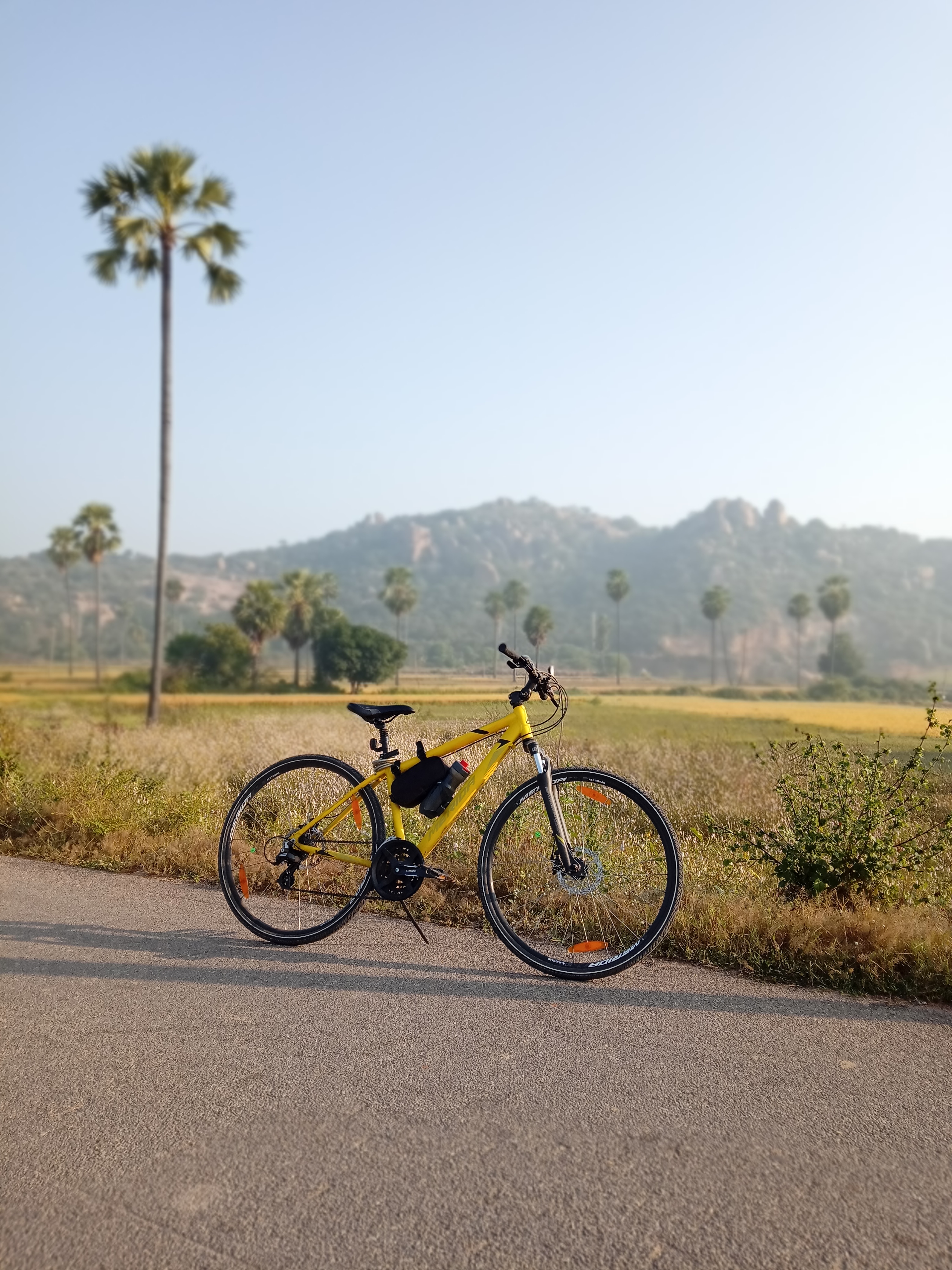 world bicycle day