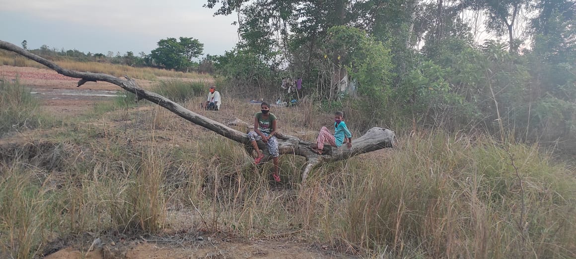 isolation, isolation in forest, isolation in forest in bhupalpally