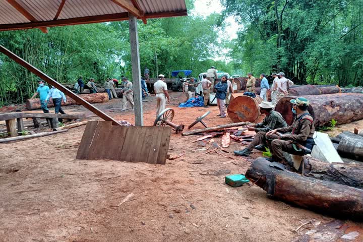 Chirang police operations illegal timber