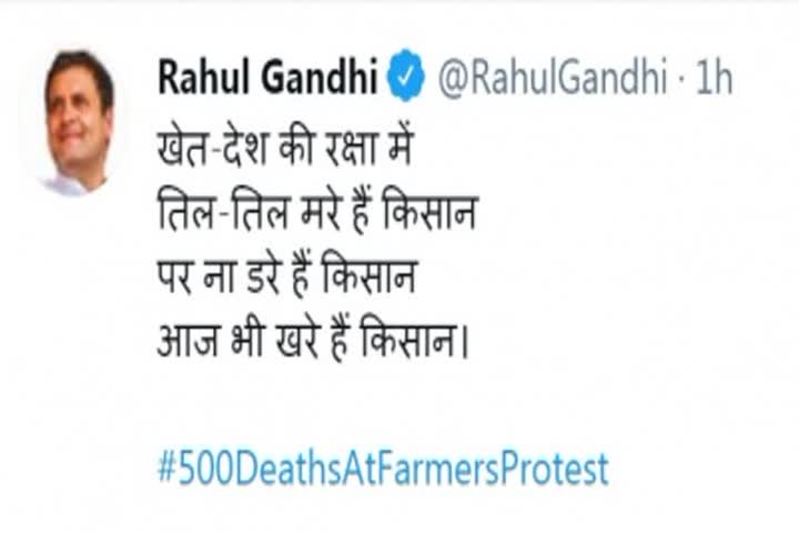 Farmers are true to their stance despite several deaths: Rahul