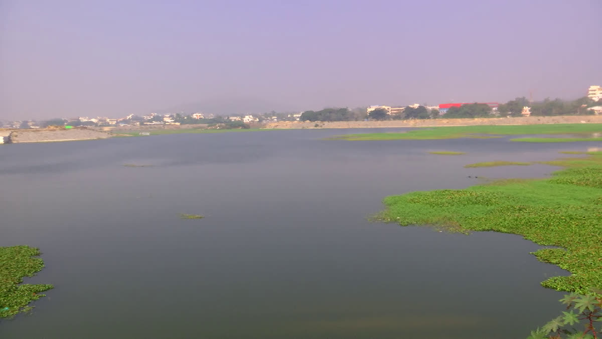 Mahabubnagar pedda cheruvu