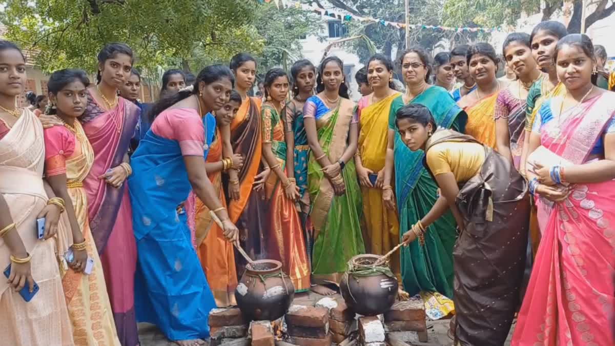 நாகை மகளிர் கல்லூரியில் களைகட்டிய சமத்துவ பொங்கல்..!, equlaity-pongal-festival-celebrated-at-nagai-womens-college