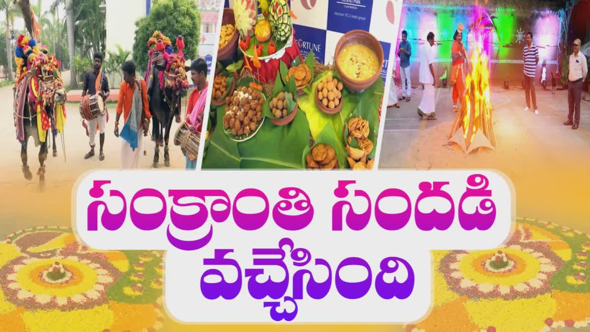 sankranthi