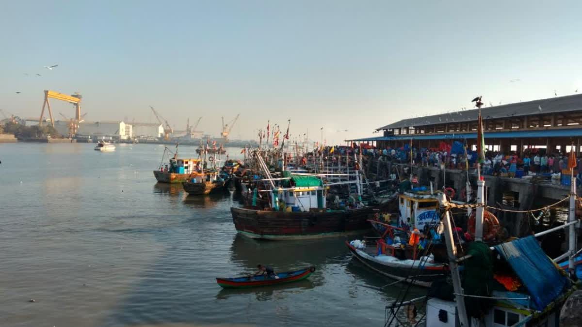 Nhava Sheva Sea Bridge