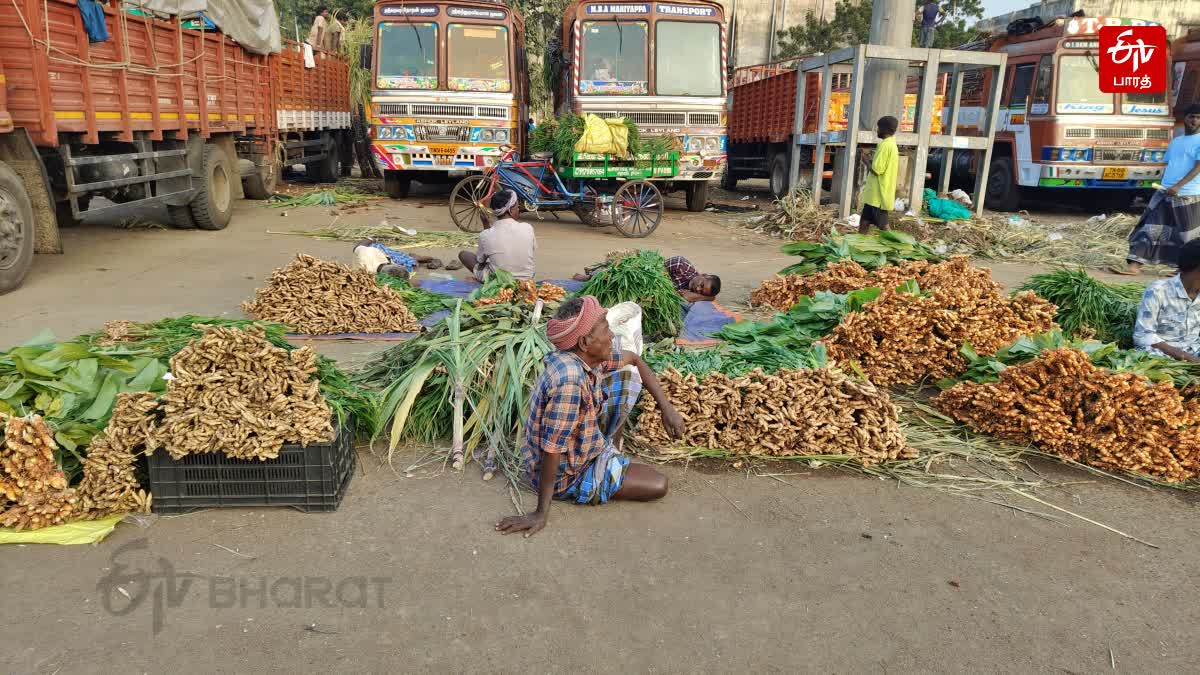 கோயம்பேடு பொங்கல் சிறப்பு சந்தை