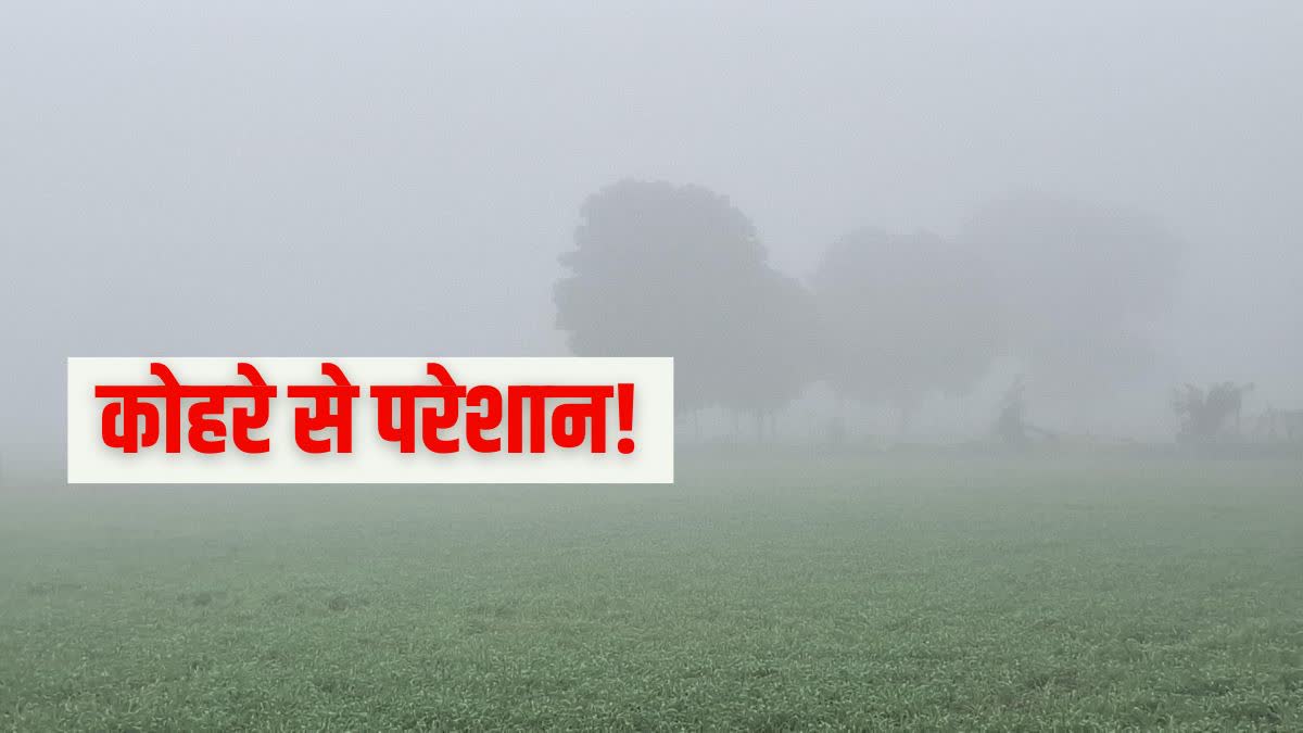 बारिश और ओलावृष्टि से बढ़ी सर्दी