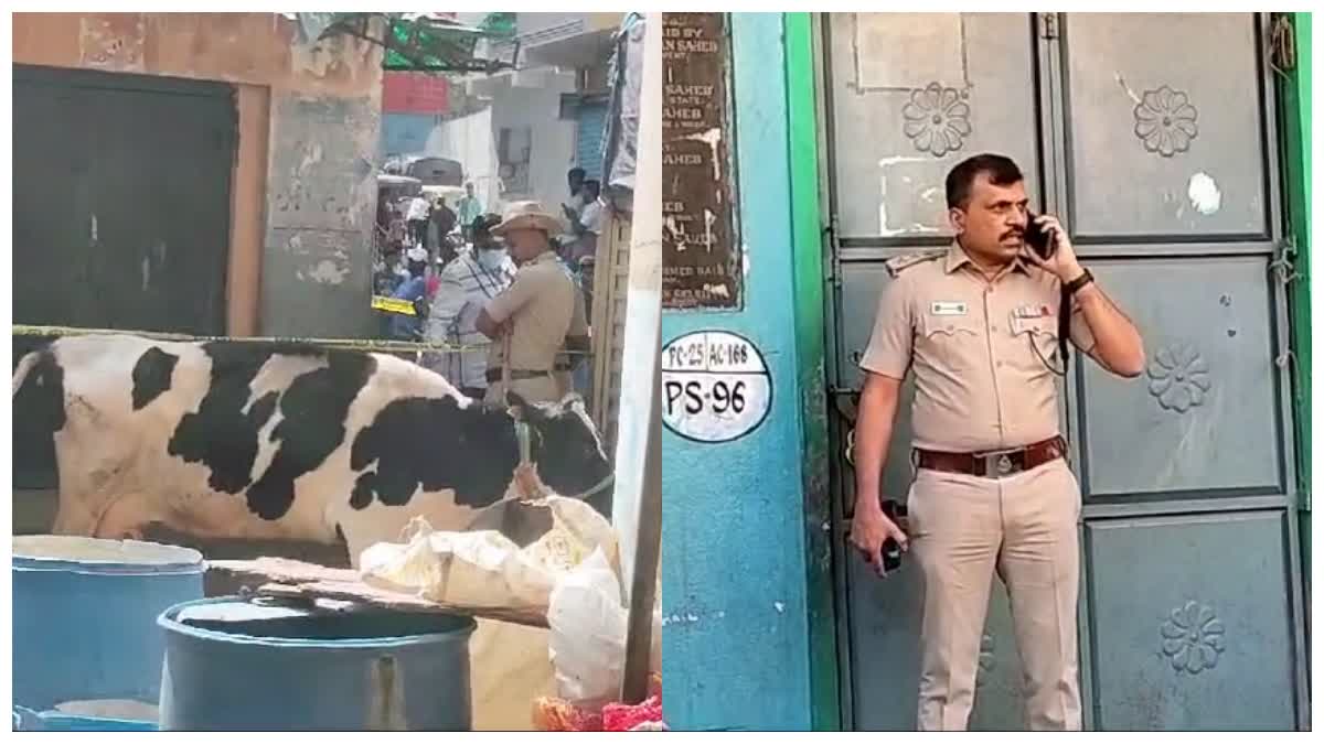 accused-cut-the-udder-of-cow-in-bengaluru