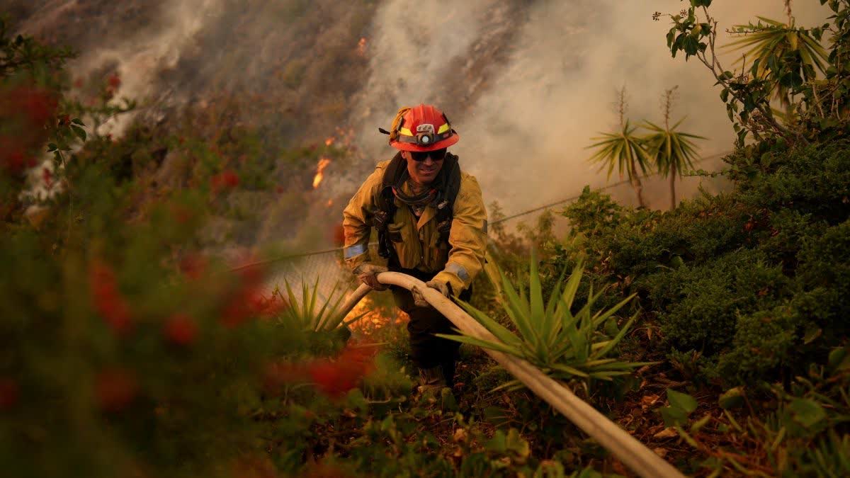 LOS ANGELES FIRE