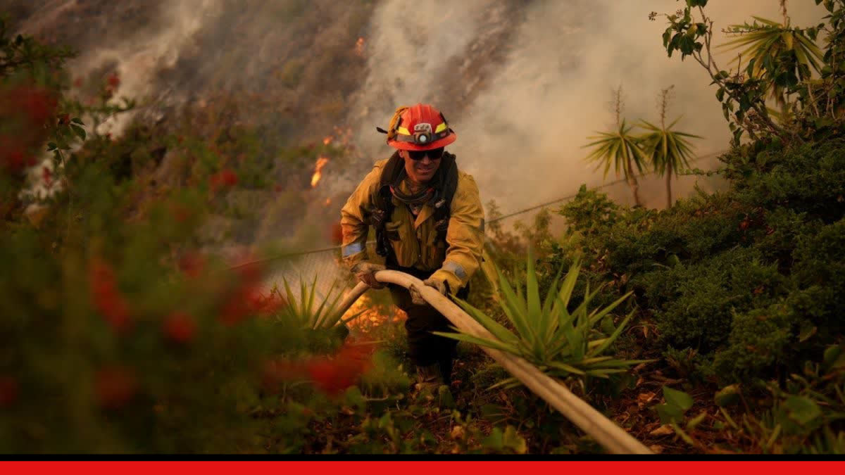 California Wild Fires