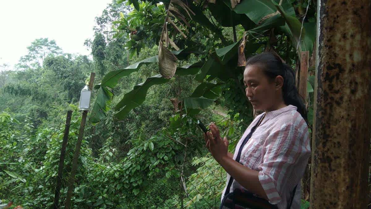 A woman awaits network near a Mobile Viewpoint in Buxa Hills