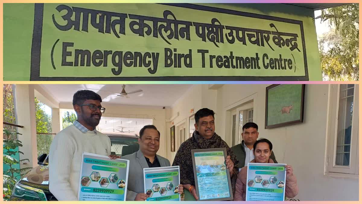 birds treatment center in Jaipur