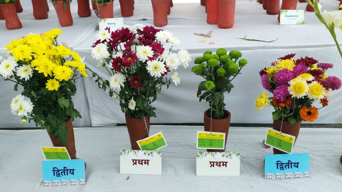 FLOWER AND VEGETABLE EXHIBITION