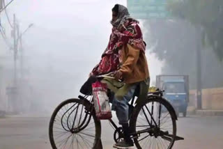 Delhi Cold  CHD Director  DELHI WEATHER  delhi fog