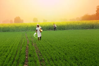 WEATHER ADVISORY UNITS FOR FARMERS