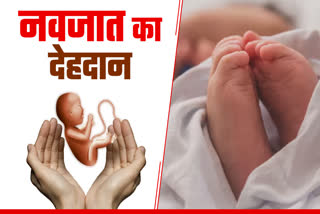 NEWBORN BODY DONATE