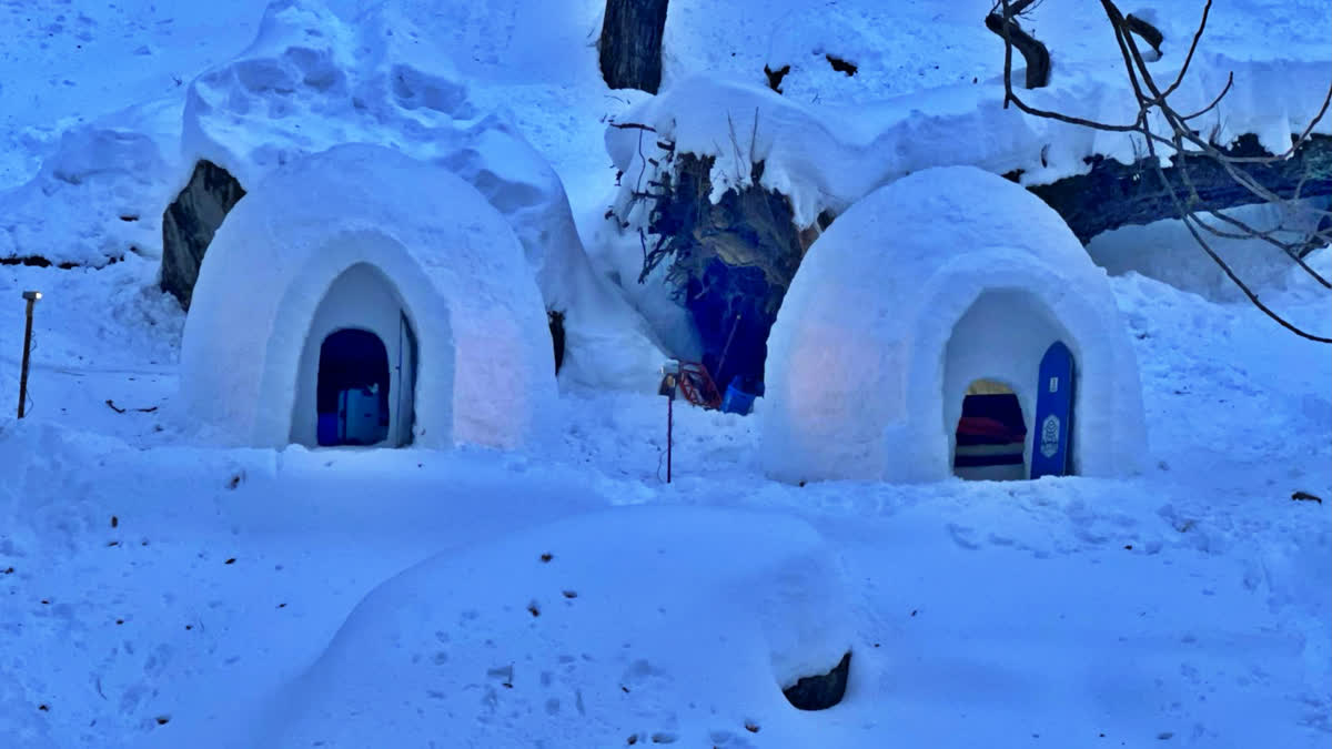 Igloo in Manali