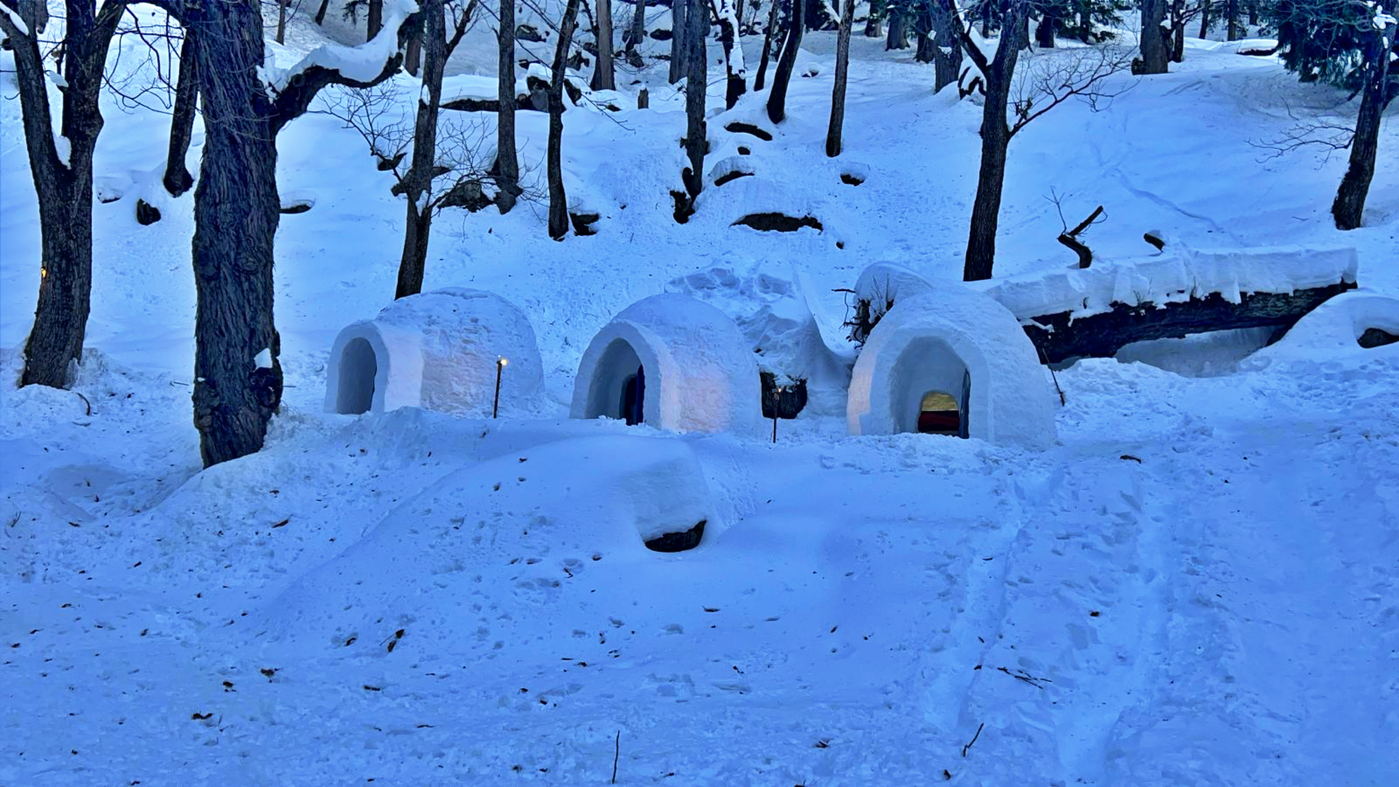 Igloo in Manali Seathan Igloo house Hampta Pass Manali Snowfall And Igloo House in Hamta