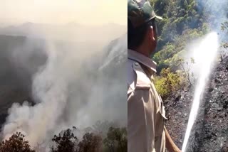 forest-fire-in-mullayanagiri-chikkamagaluru