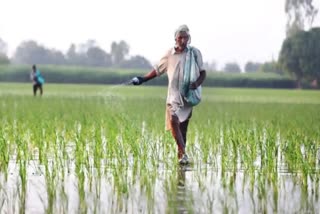 Crop purchase On MSP in Haryana