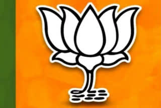 BJP Fields 2 Candidates for Rajya Sabha Polls in Rajasthan