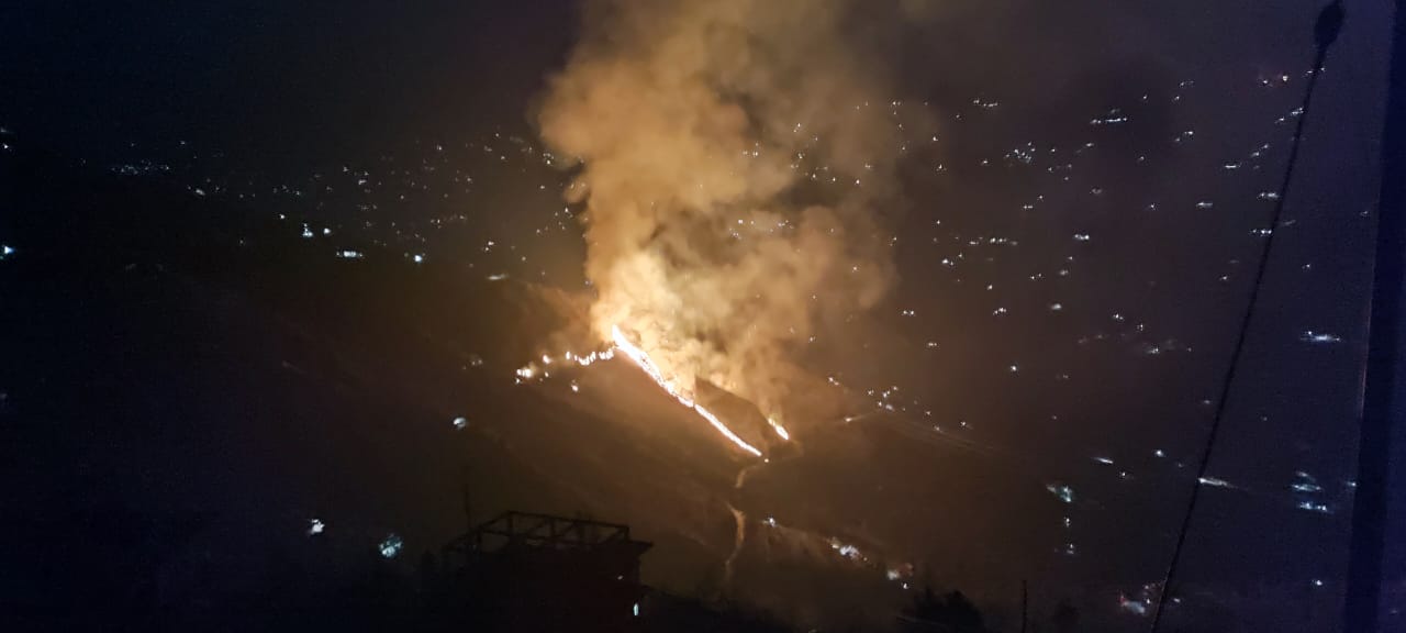 Apple Garden Burnt In Shimla