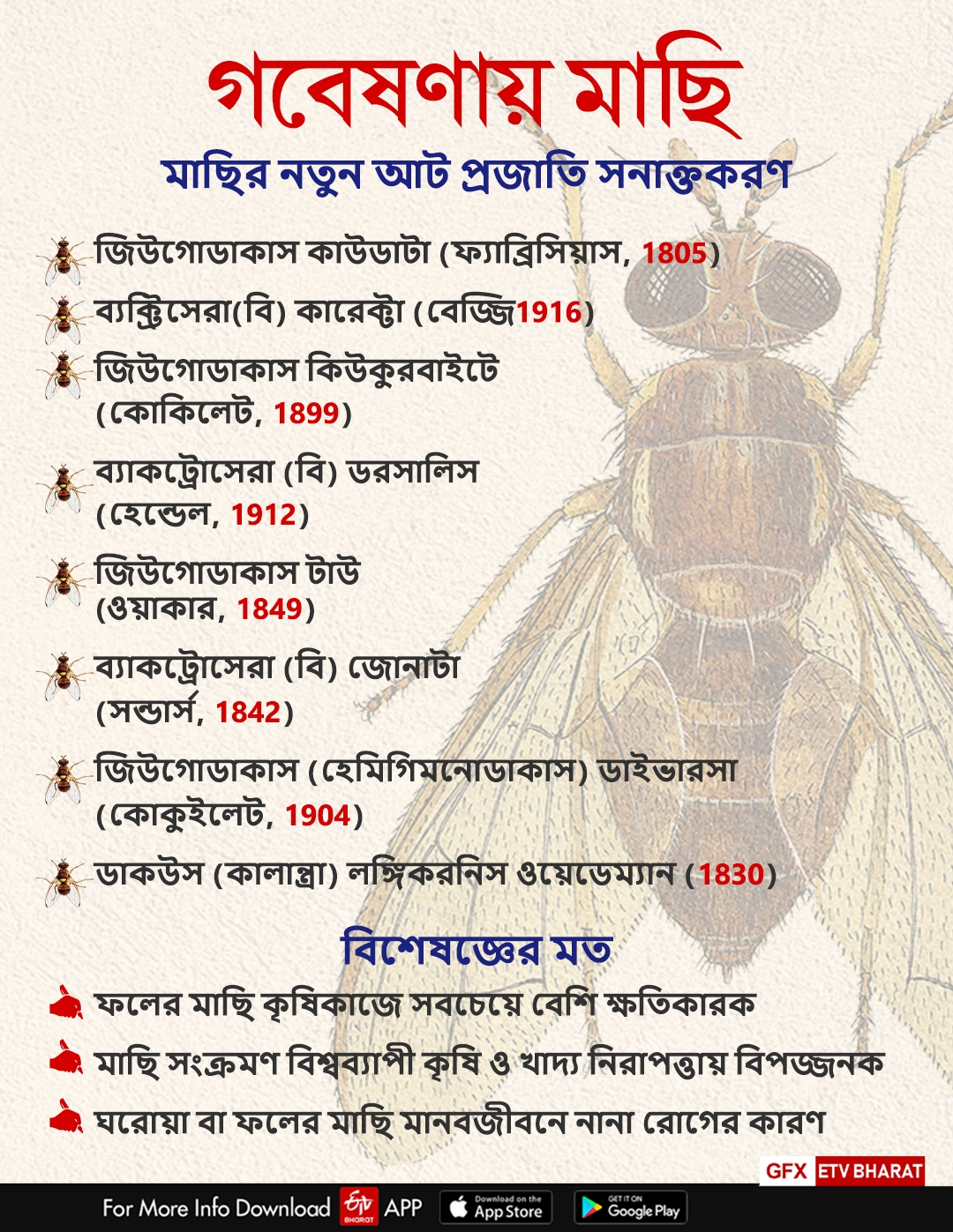 RESEARCH ON FRUIT FLY