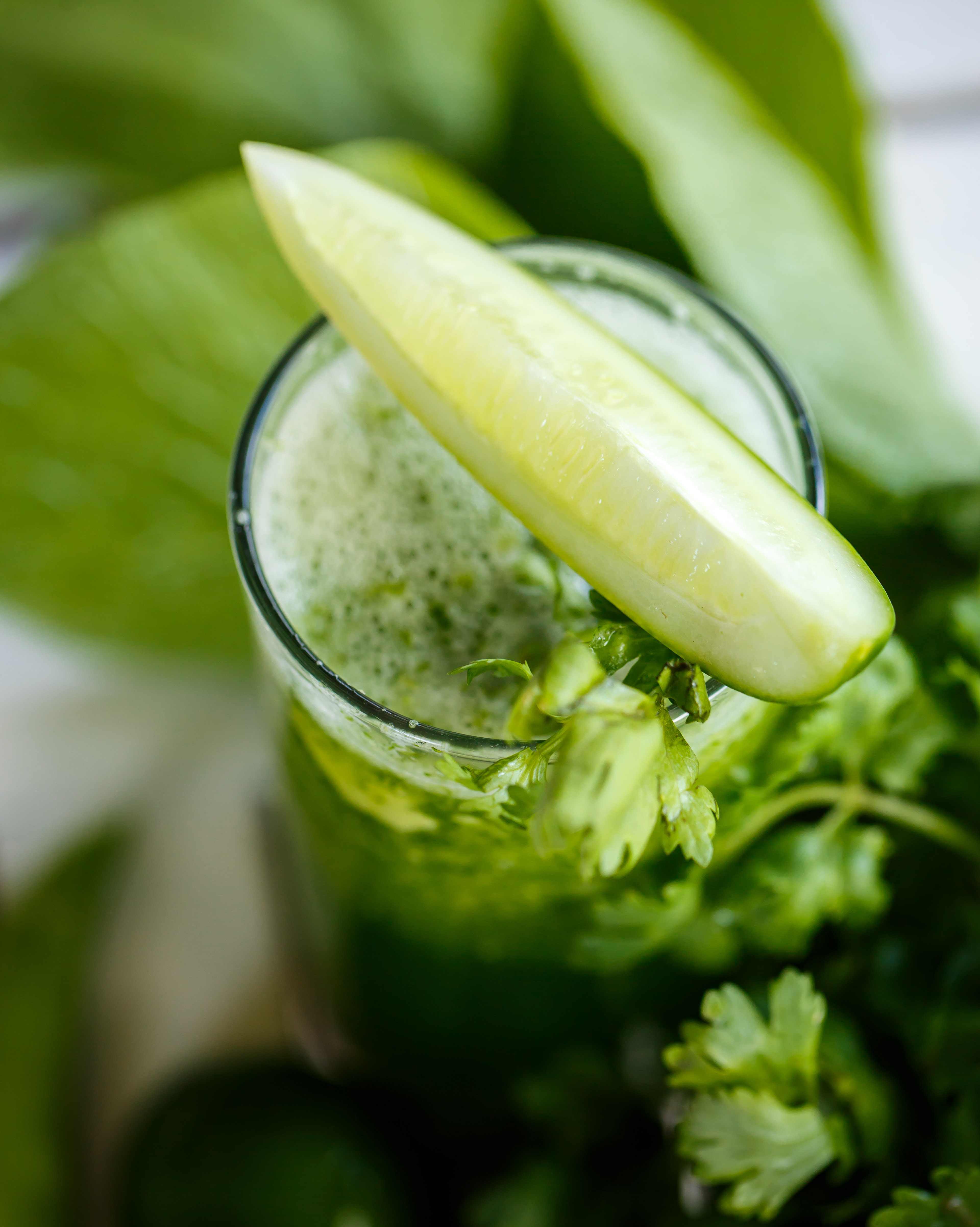 What happens if you drink green coriander juice on an empty stomach in the morning? Know how to drink it