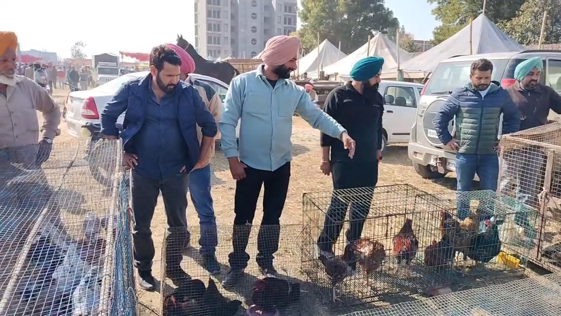 LOVER KEEPING ANIMALS AND BIRDS