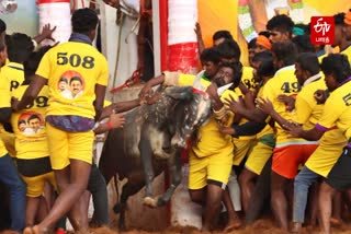 கீழக்கரை ஜல்லிக்கட்டு போட்டி