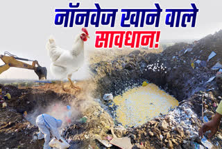 CHHINDWARA EGGS AND CHICKENS BURIED