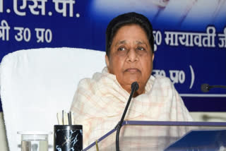 Mayawati Expels Nephew Akash Anand's Father-In-Law From BSP For 'Anti-Party' Activities